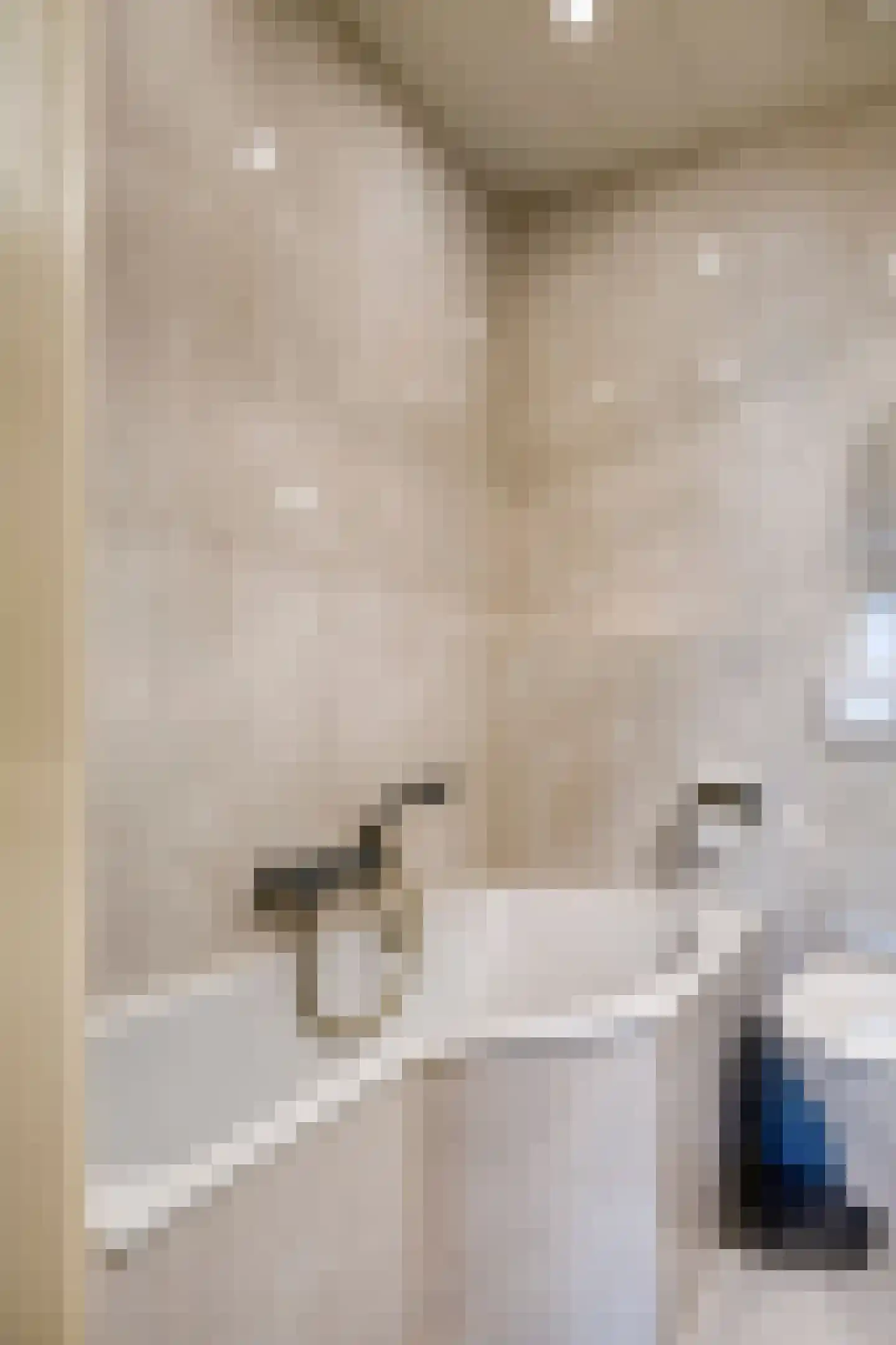 Jonkerslaan 124 Leek thumbnail 25