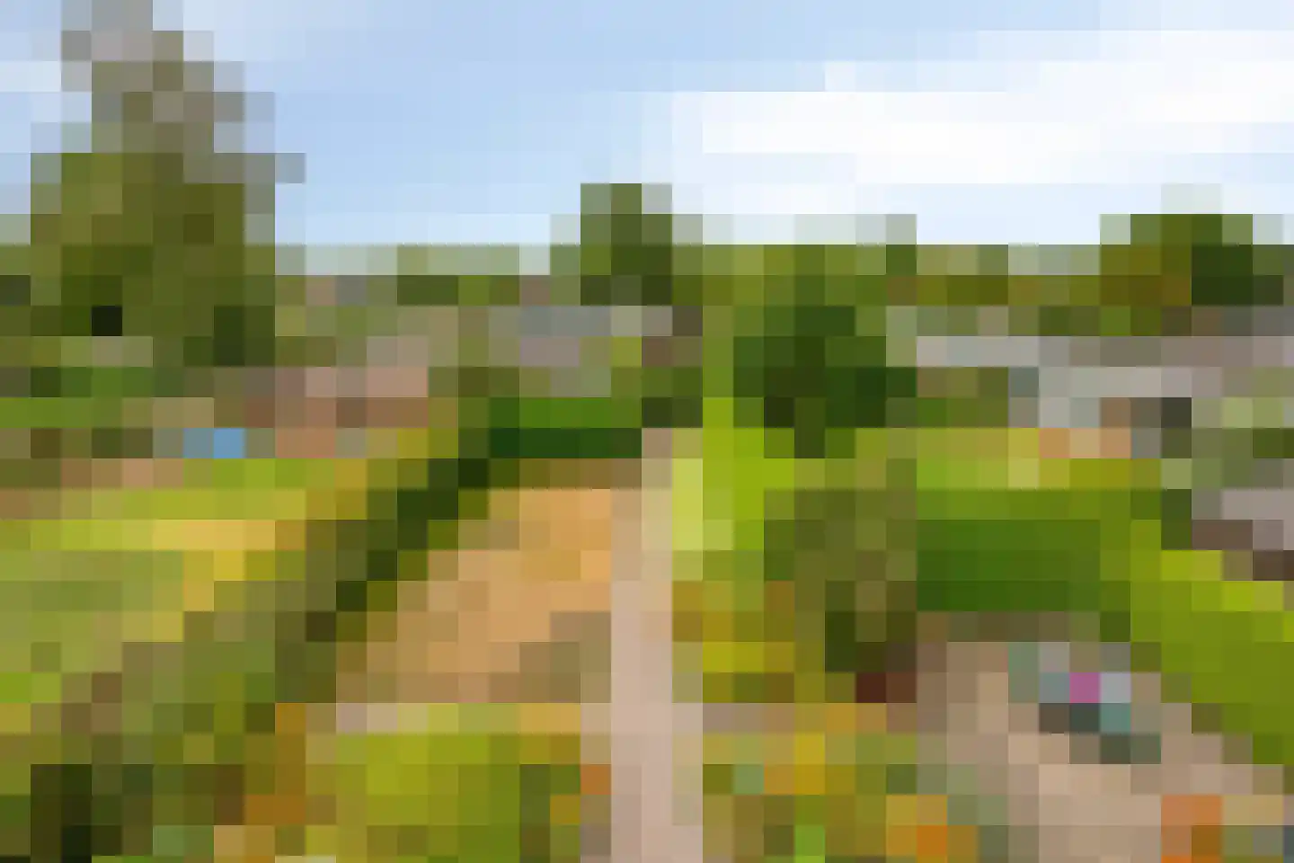 Jonkerslaan 124 Leek thumbnail 30