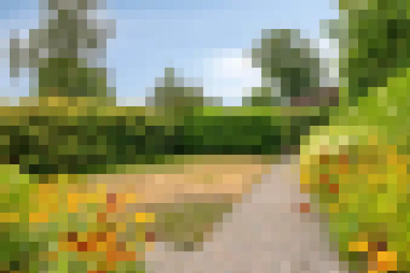Jonkerslaan 124 Leek thumbnail 31