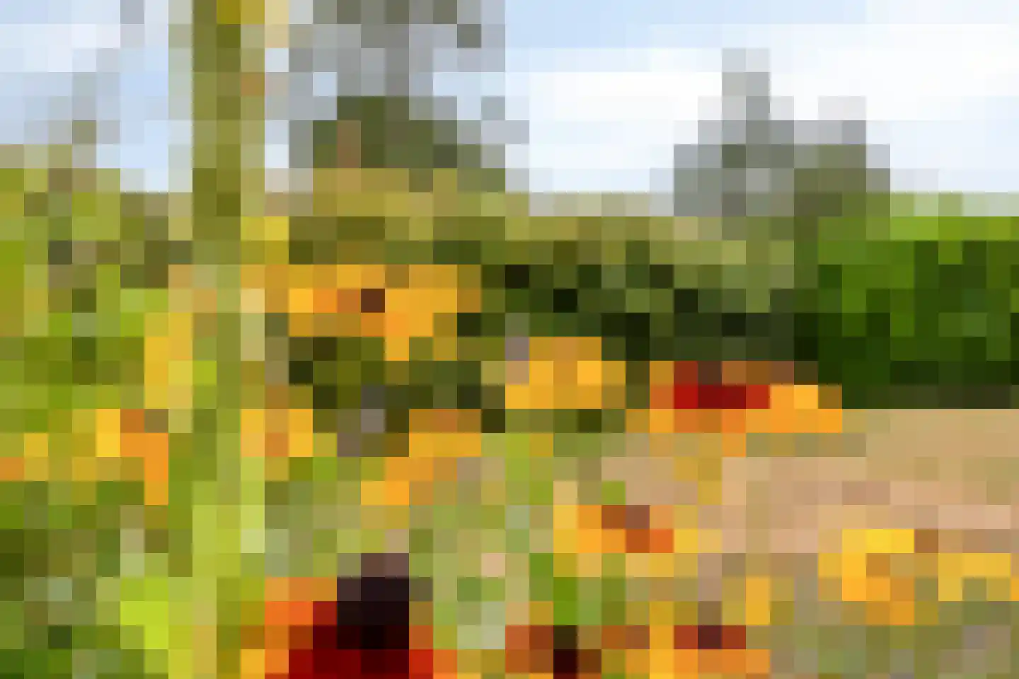 Jonkerslaan 124 Leek thumbnail 32