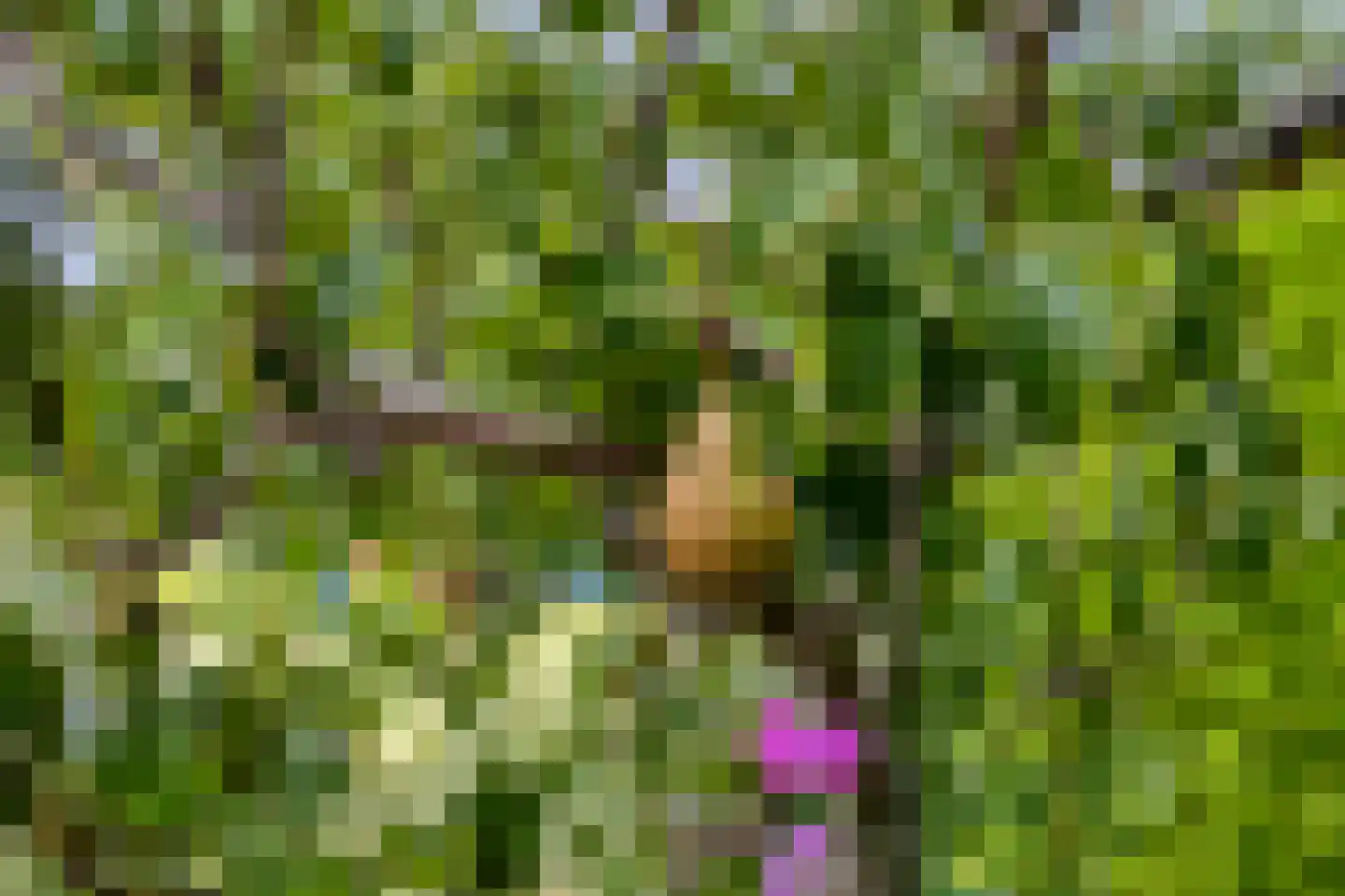 Jonkerslaan 124 Leek thumbnail 34
