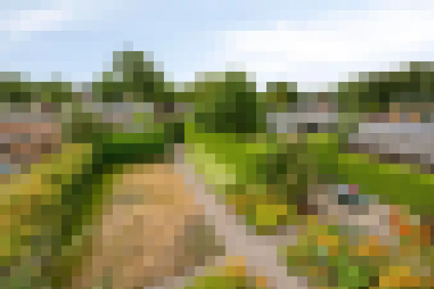 Jonkerslaan 124 Leek thumbnail 35
