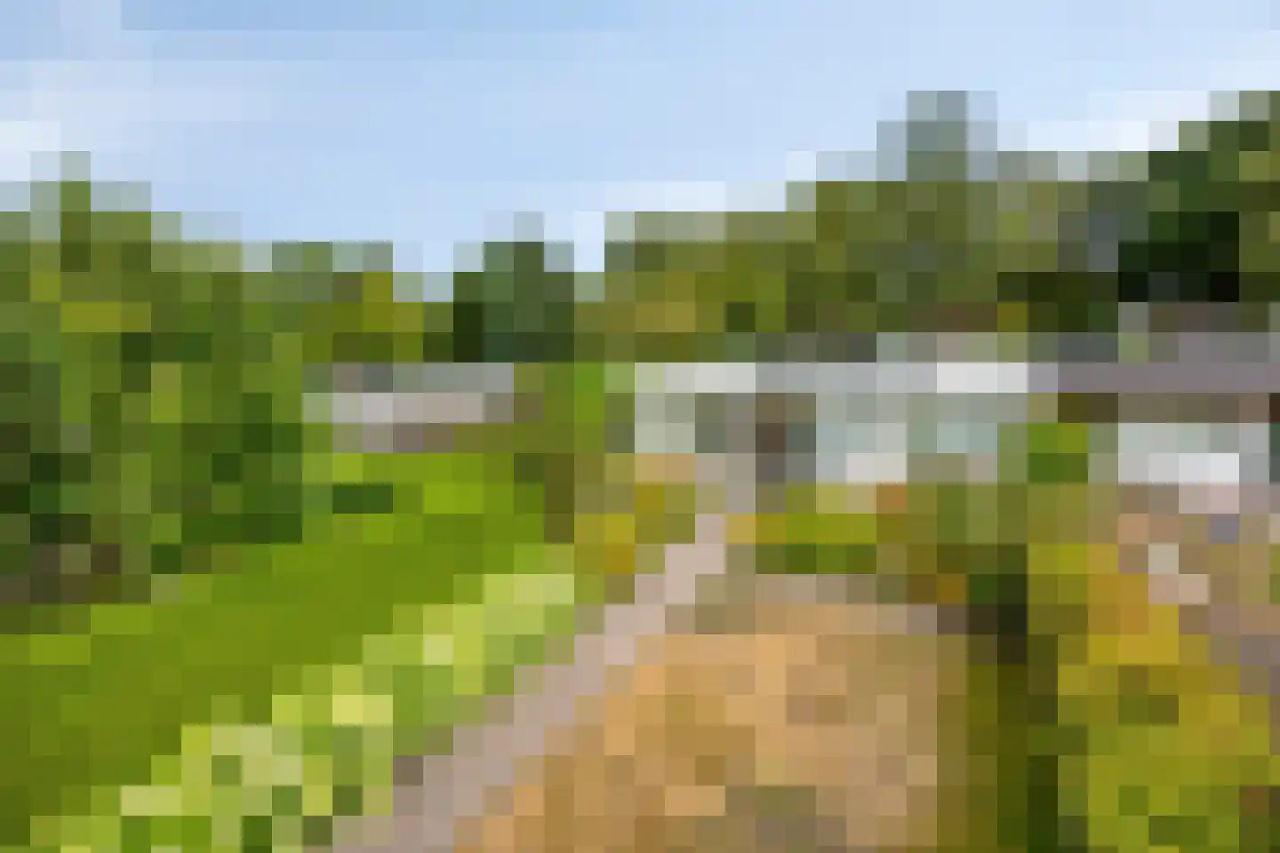 Jonkerslaan 124 Leek thumbnail 37