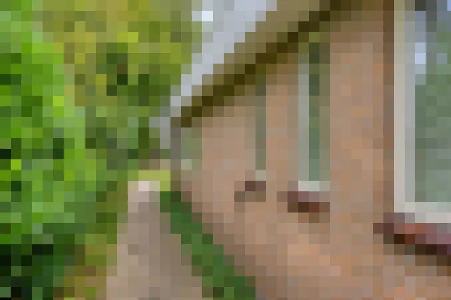 Jonkerslaan 124 Leek thumbnail 38