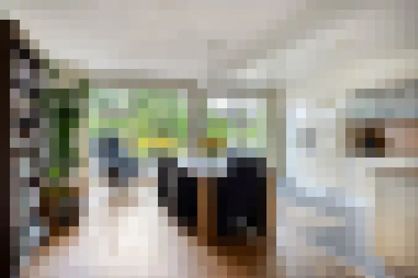 Jonkerslaan 124 Leek thumbnail 4