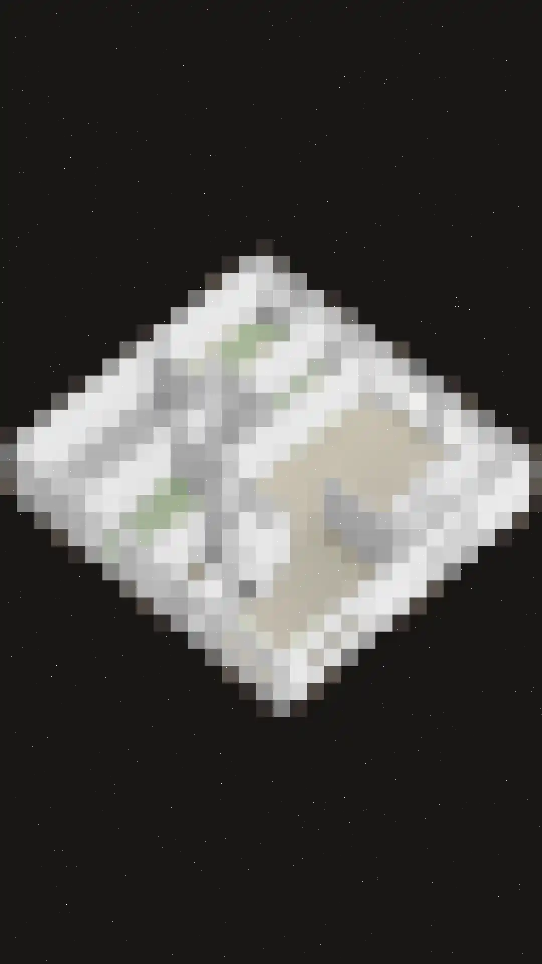 Jonkerslaan 124 Leek thumbnail 48