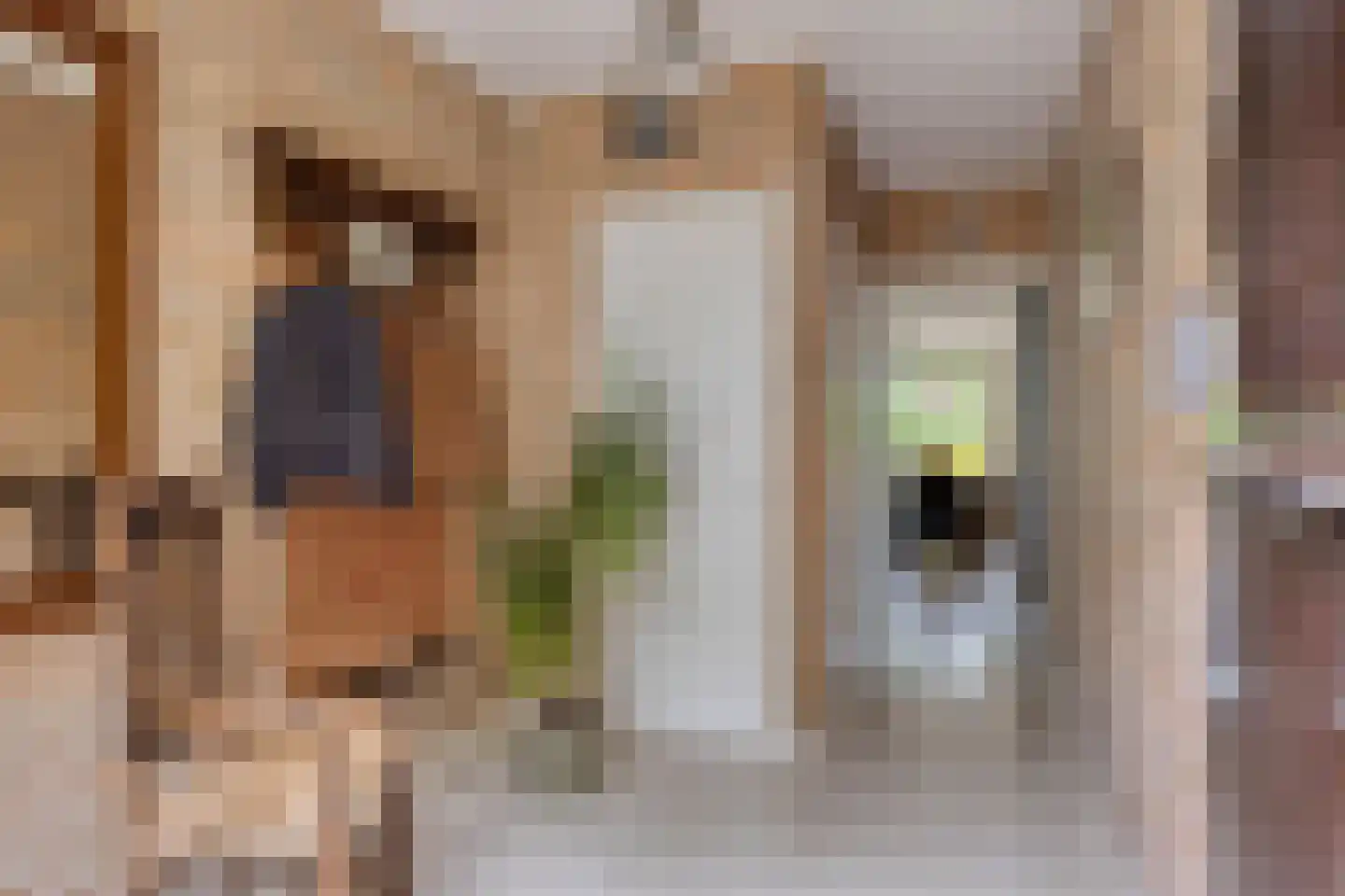 Jonkerslaan 124 Leek thumbnail 8