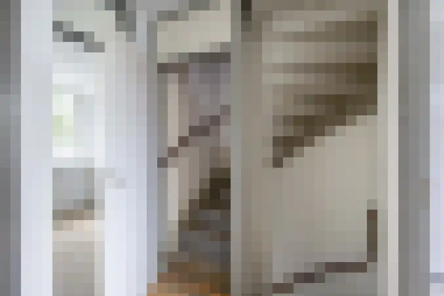 Jonkerslaan 41 Leek thumbnail 18