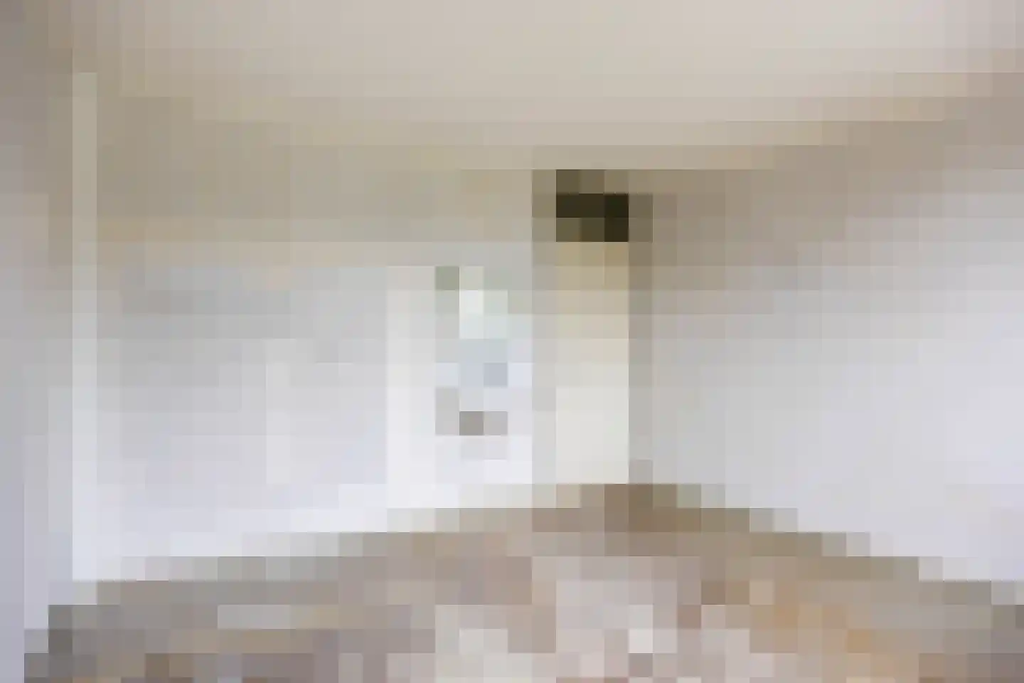 Jonkerslaan 41 Leek thumbnail 27