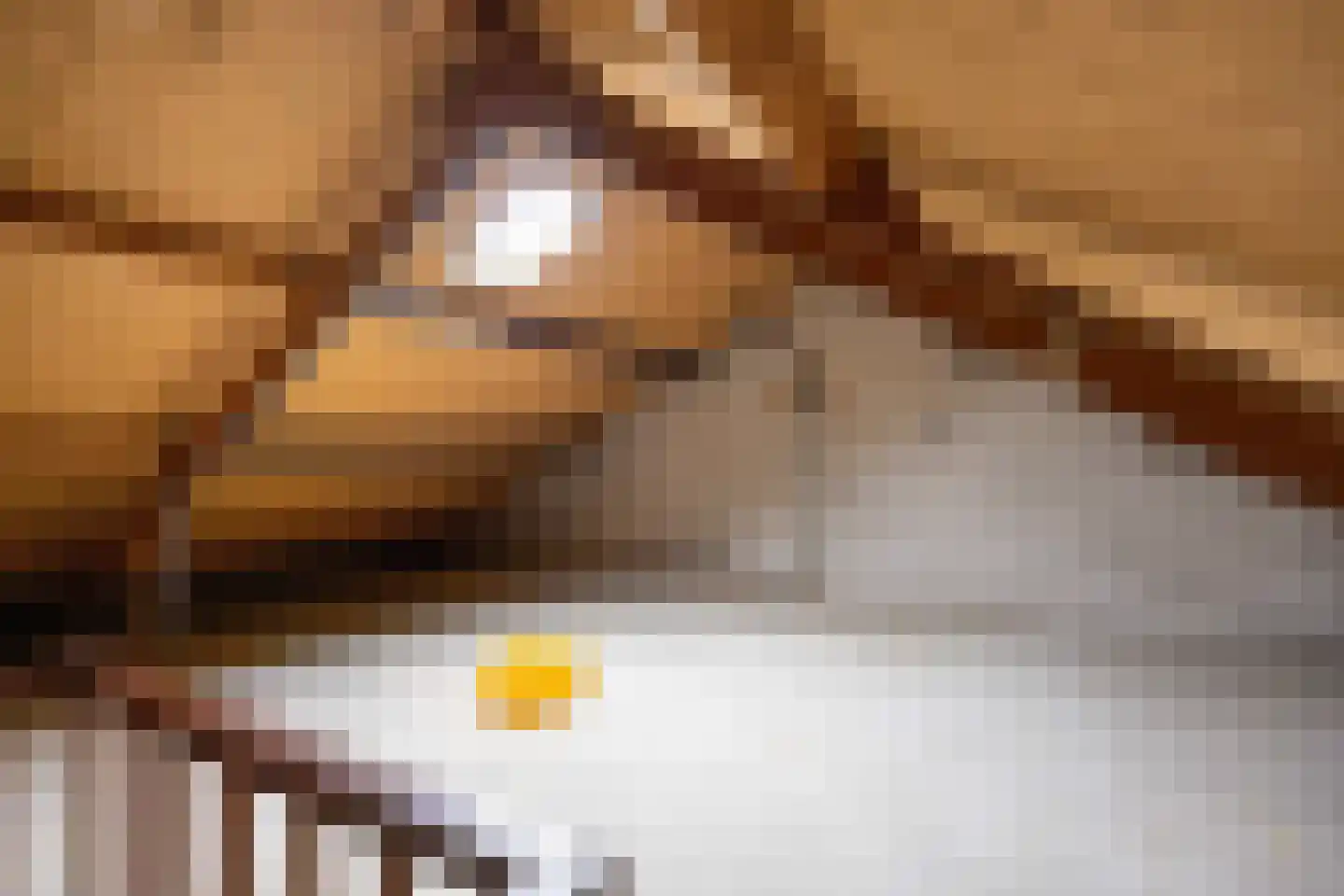 Jonkerslaan 41 Leek thumbnail 30