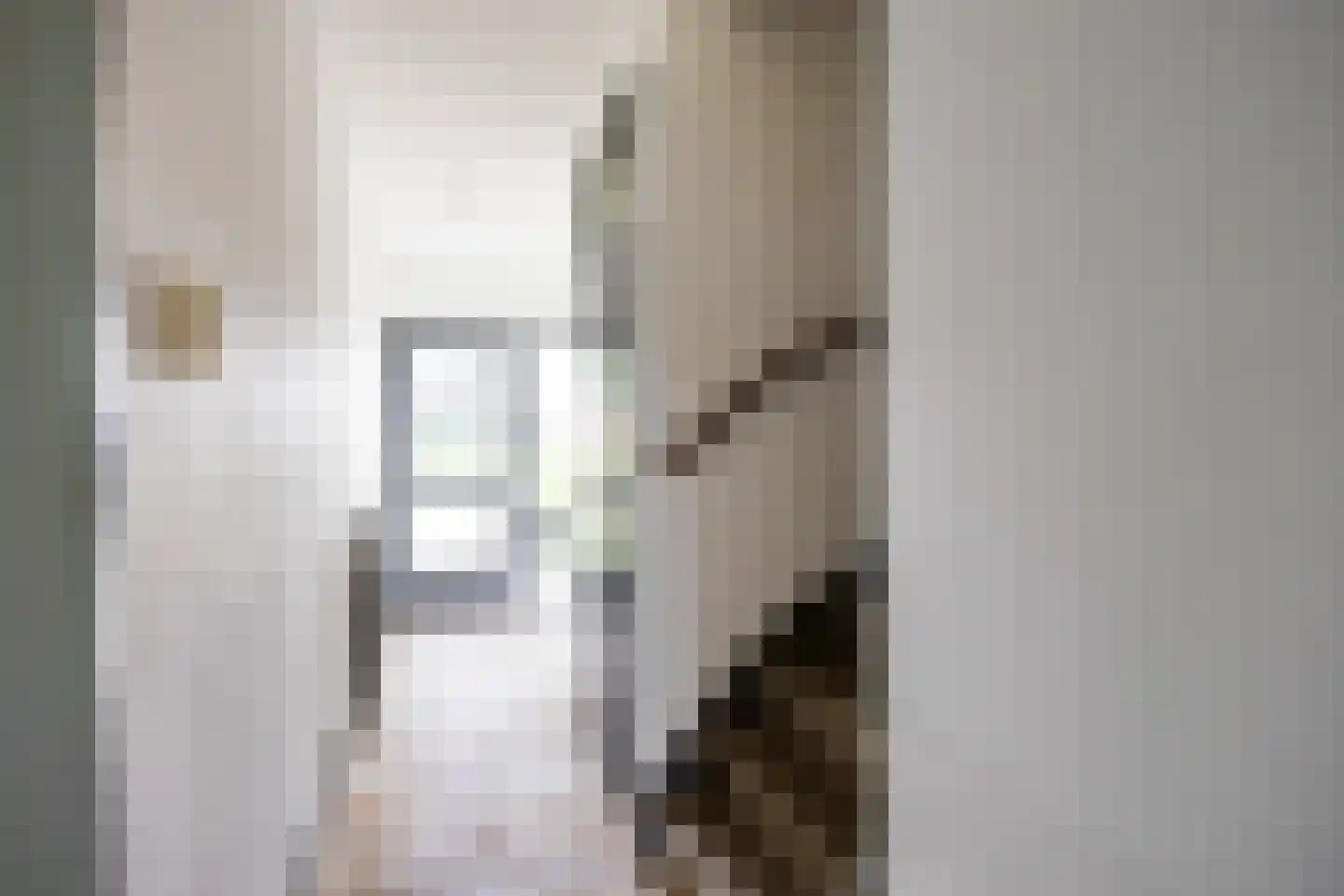 Jonkerslaan 41 Leek thumbnail 4