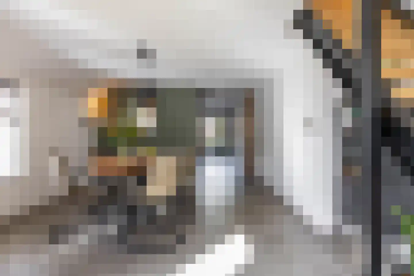 Jonkerslaan 79 Grijpskerk thumbnail 11