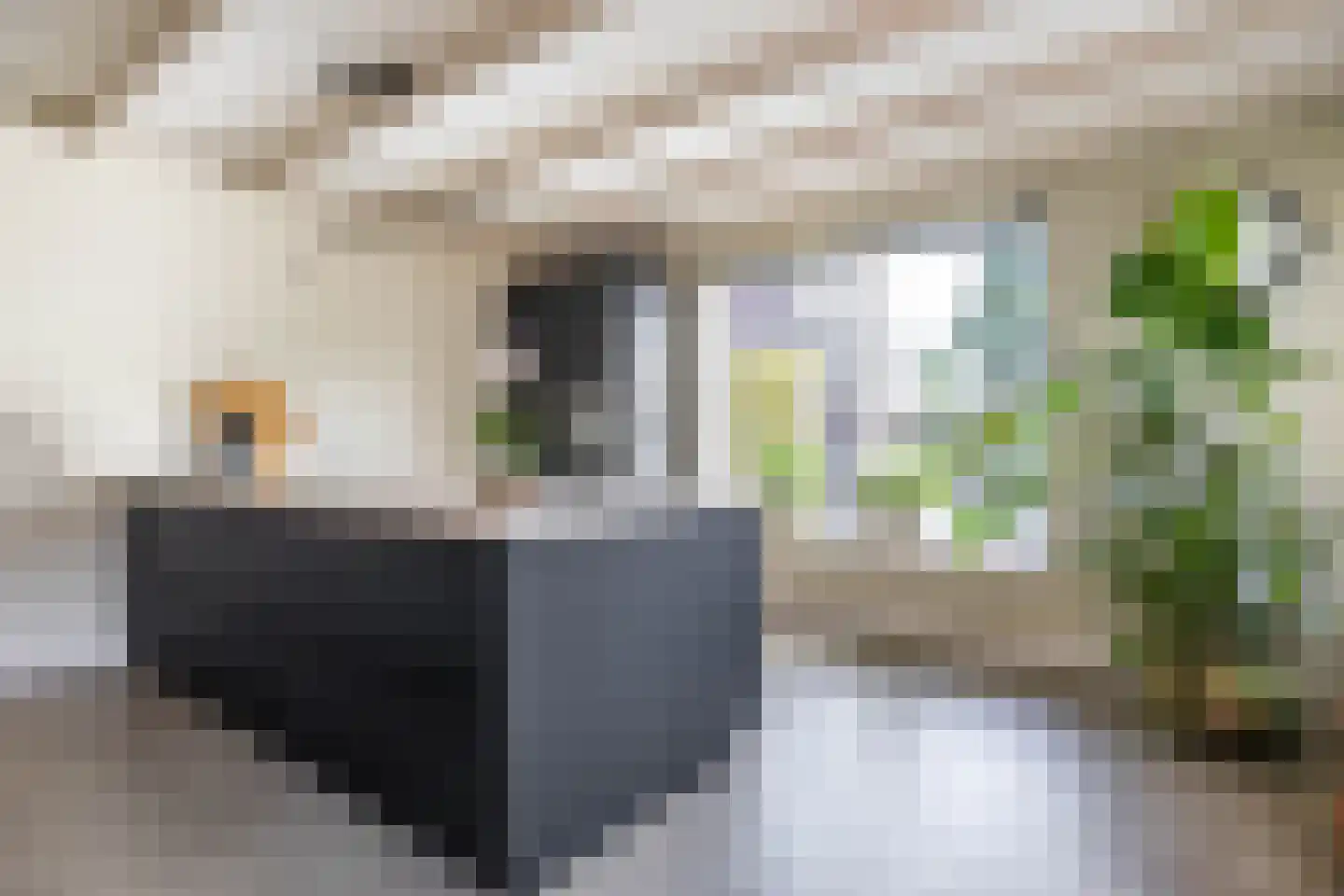 Jonkerslaan 79 Grijpskerk thumbnail 16