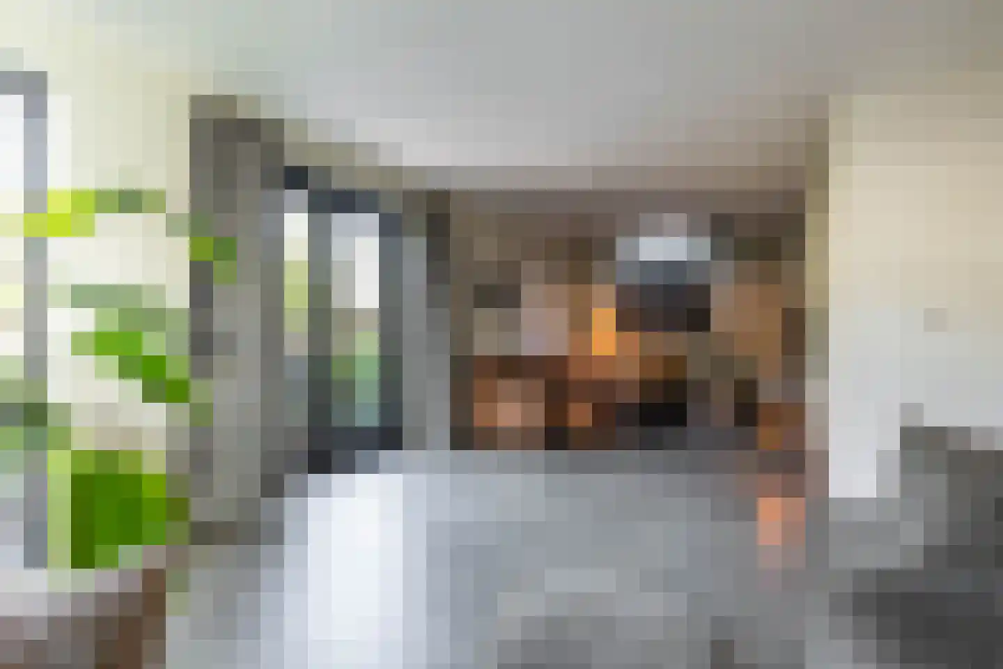 Jonkerslaan 79 Grijpskerk thumbnail 17