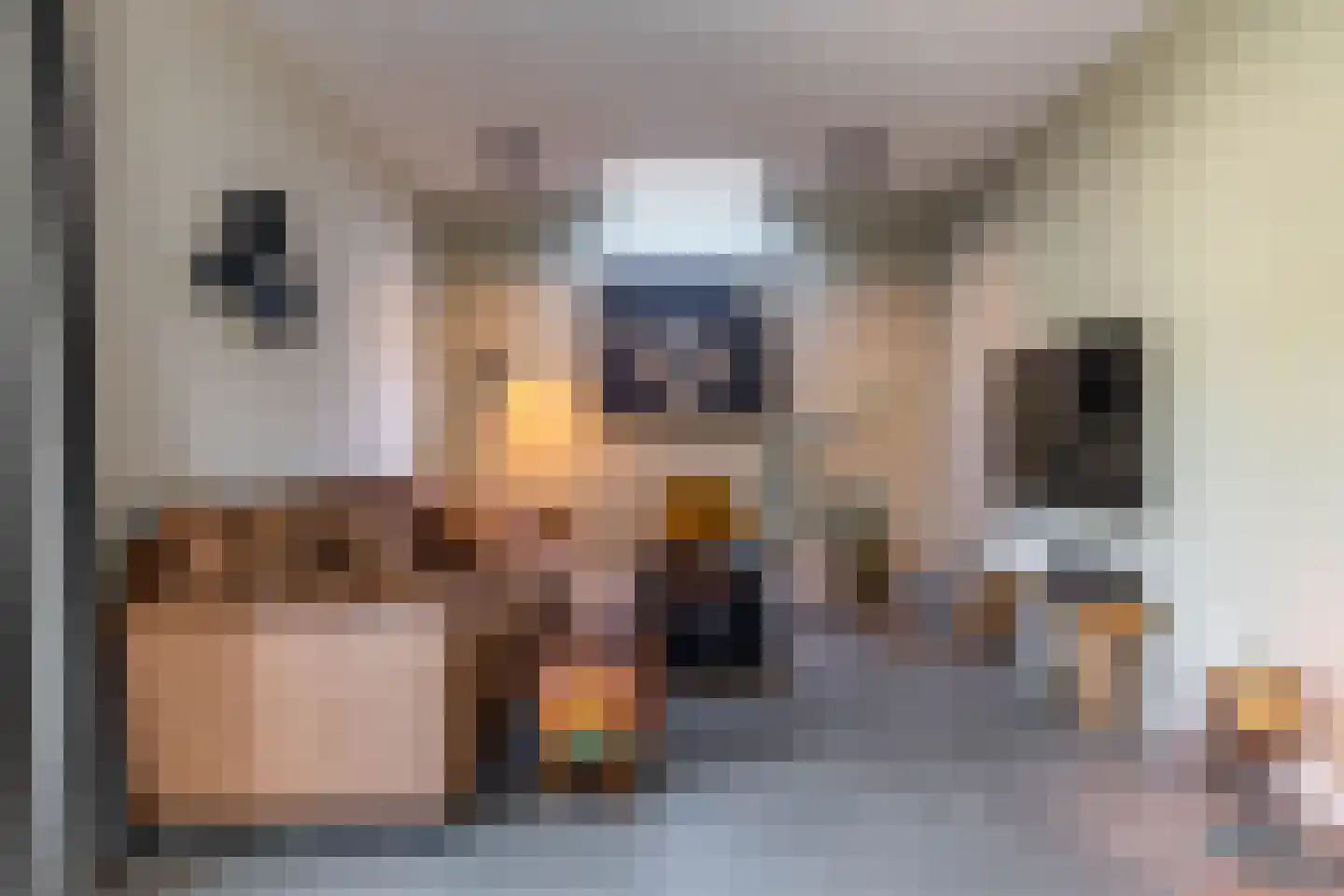 Jonkerslaan 79 Grijpskerk thumbnail 18