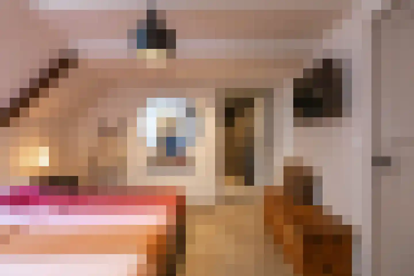 Jonkerslaan 79 Grijpskerk thumbnail 20