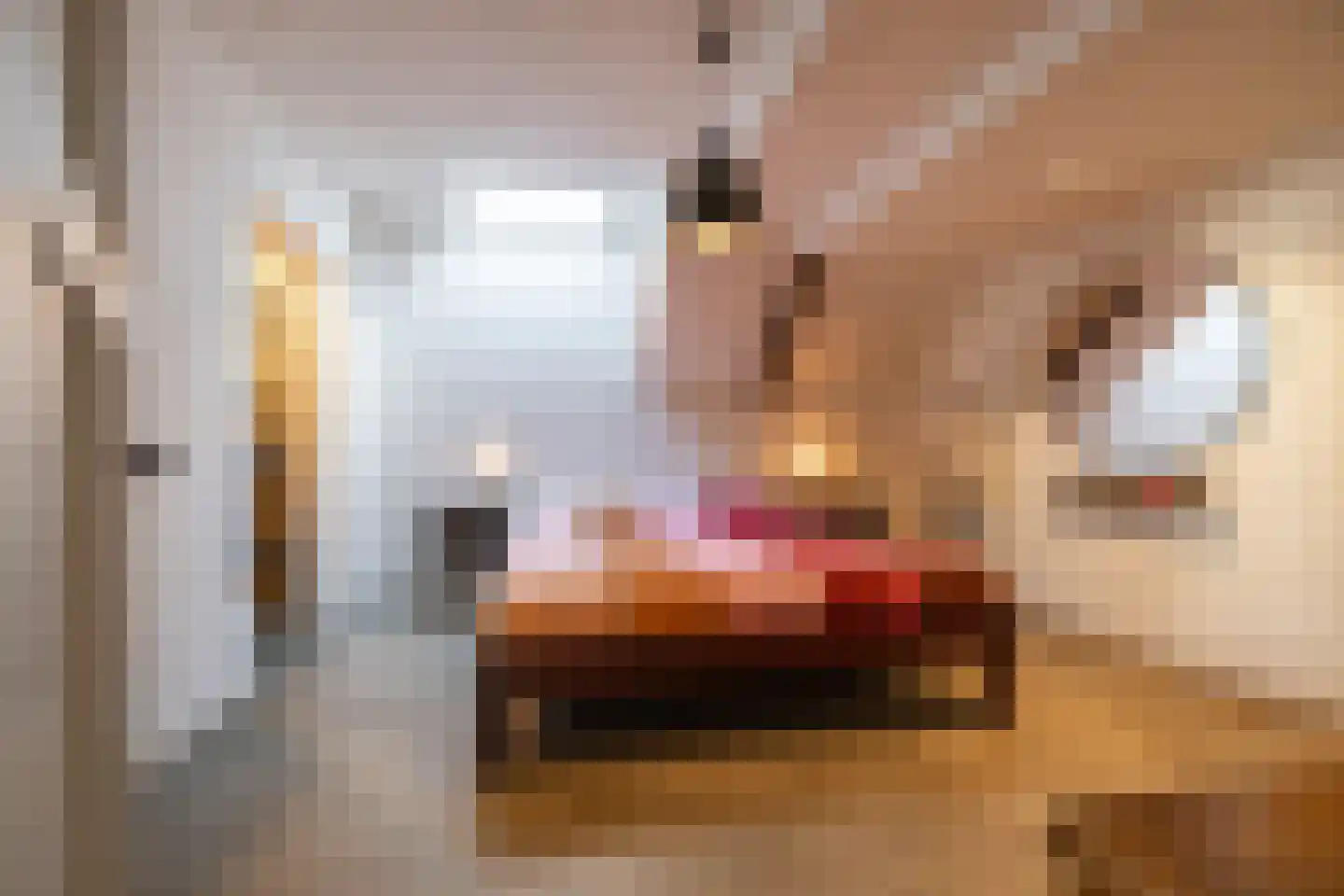 Jonkerslaan 79 Grijpskerk thumbnail 21