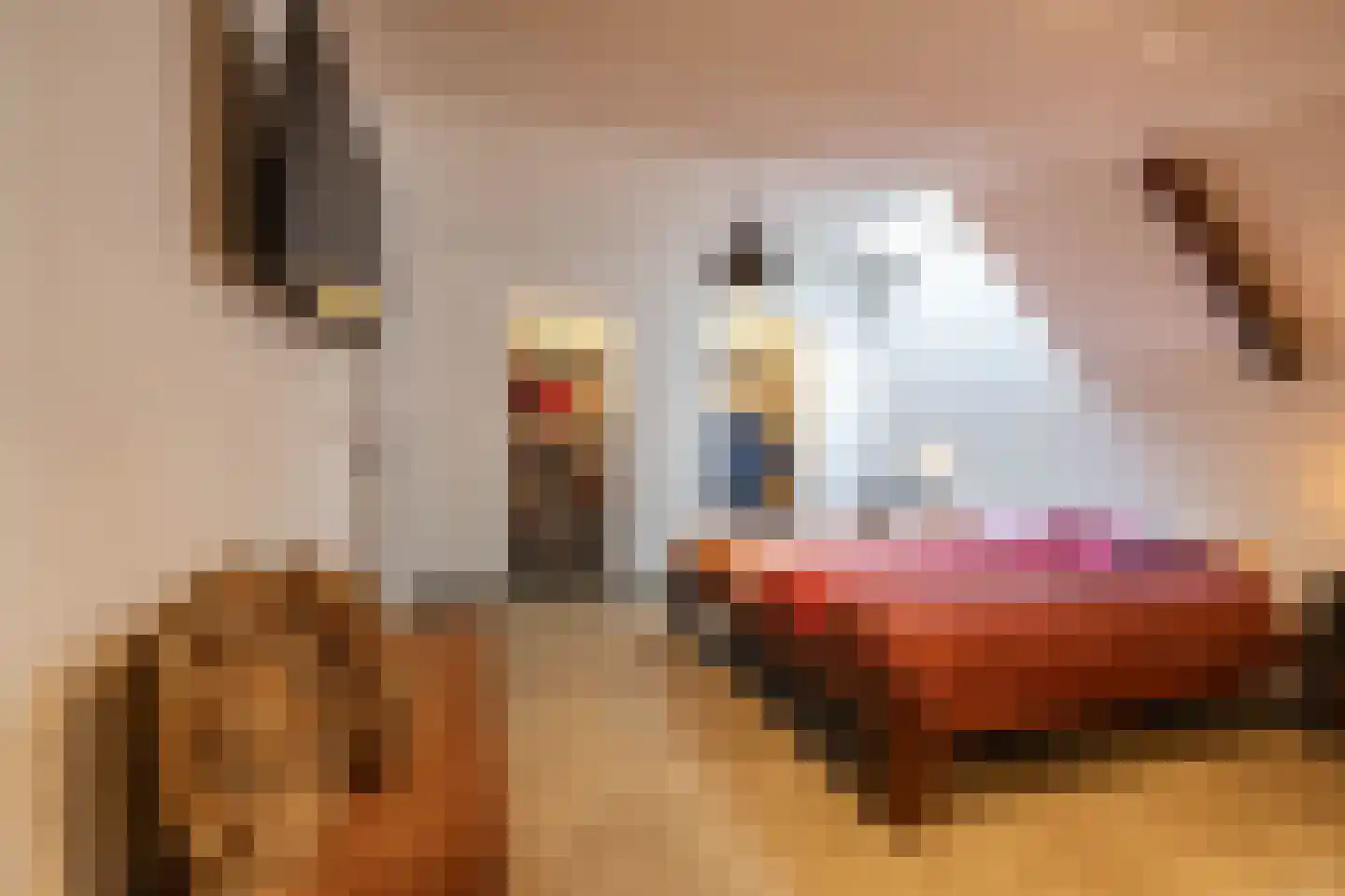 Jonkerslaan 79 Grijpskerk thumbnail 22