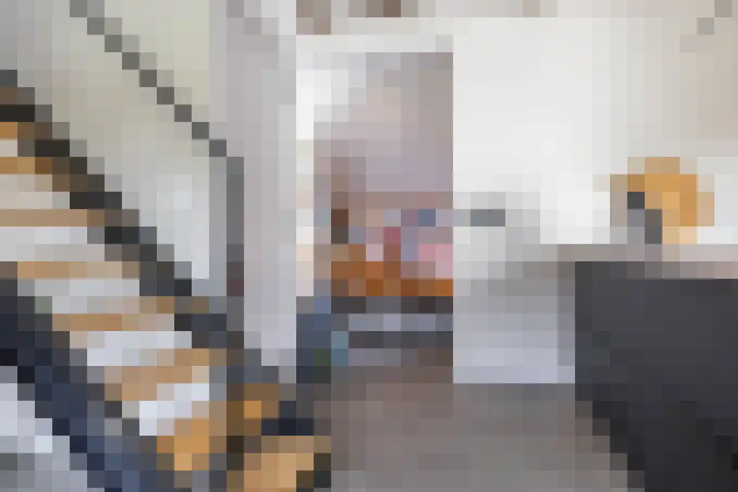 Jonkerslaan 79 Grijpskerk thumbnail 30