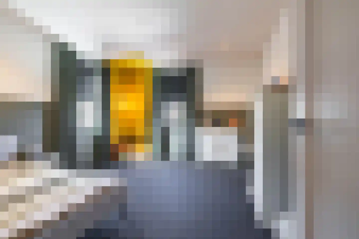 Jonkerslaan 79 Grijpskerk thumbnail 35