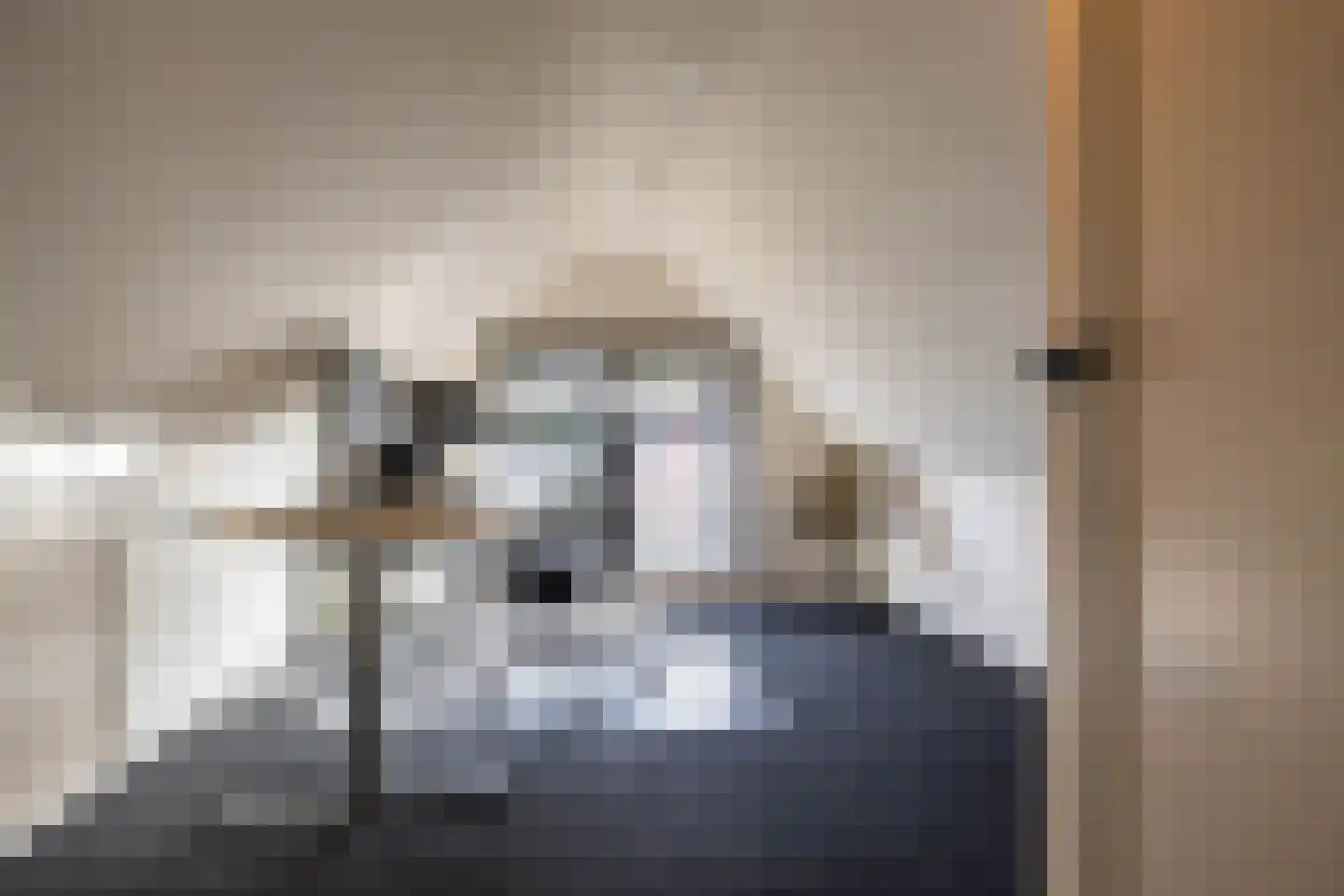 Jonkerslaan 79 Grijpskerk thumbnail 40