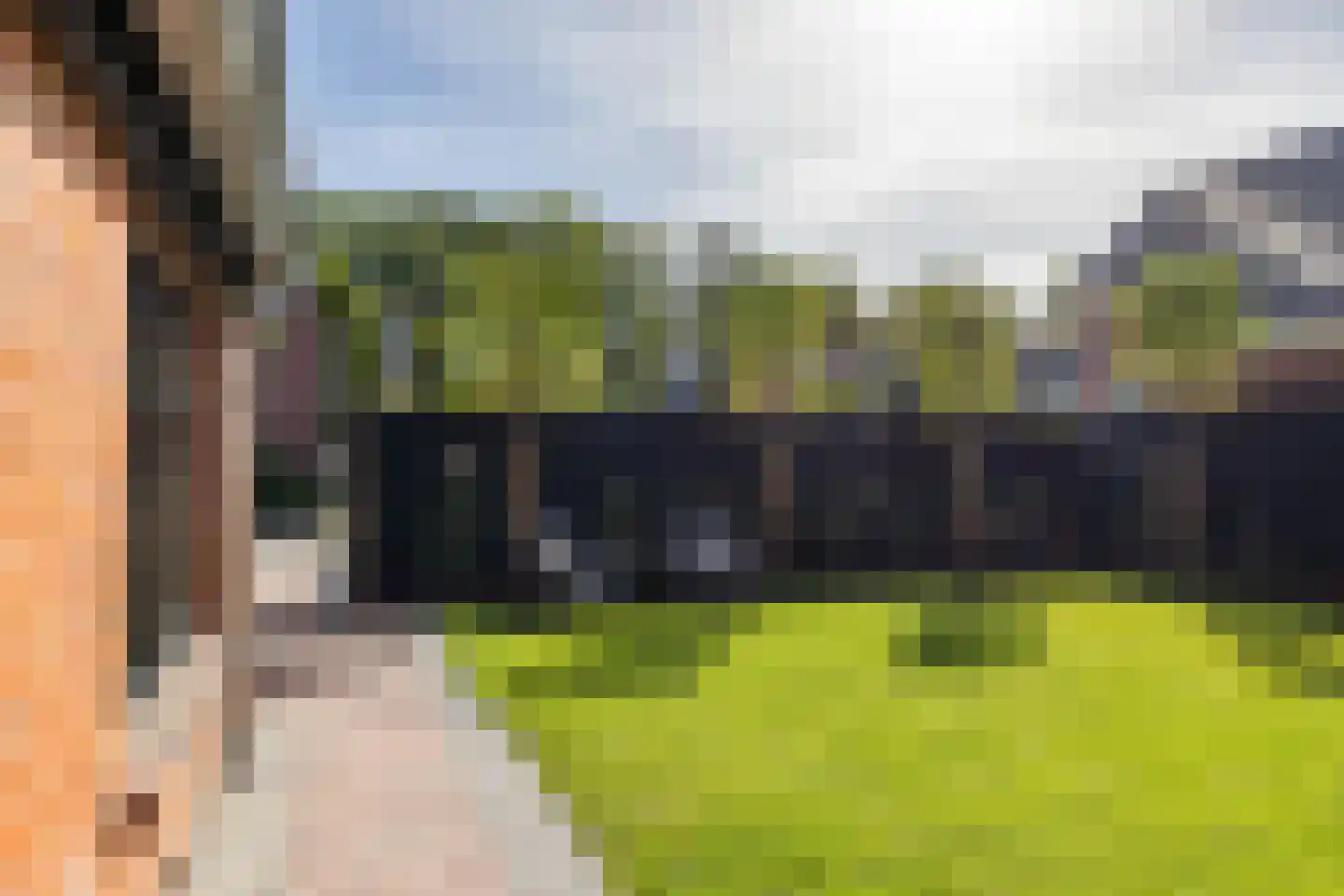 Jonkerslaan 79 Grijpskerk thumbnail 49