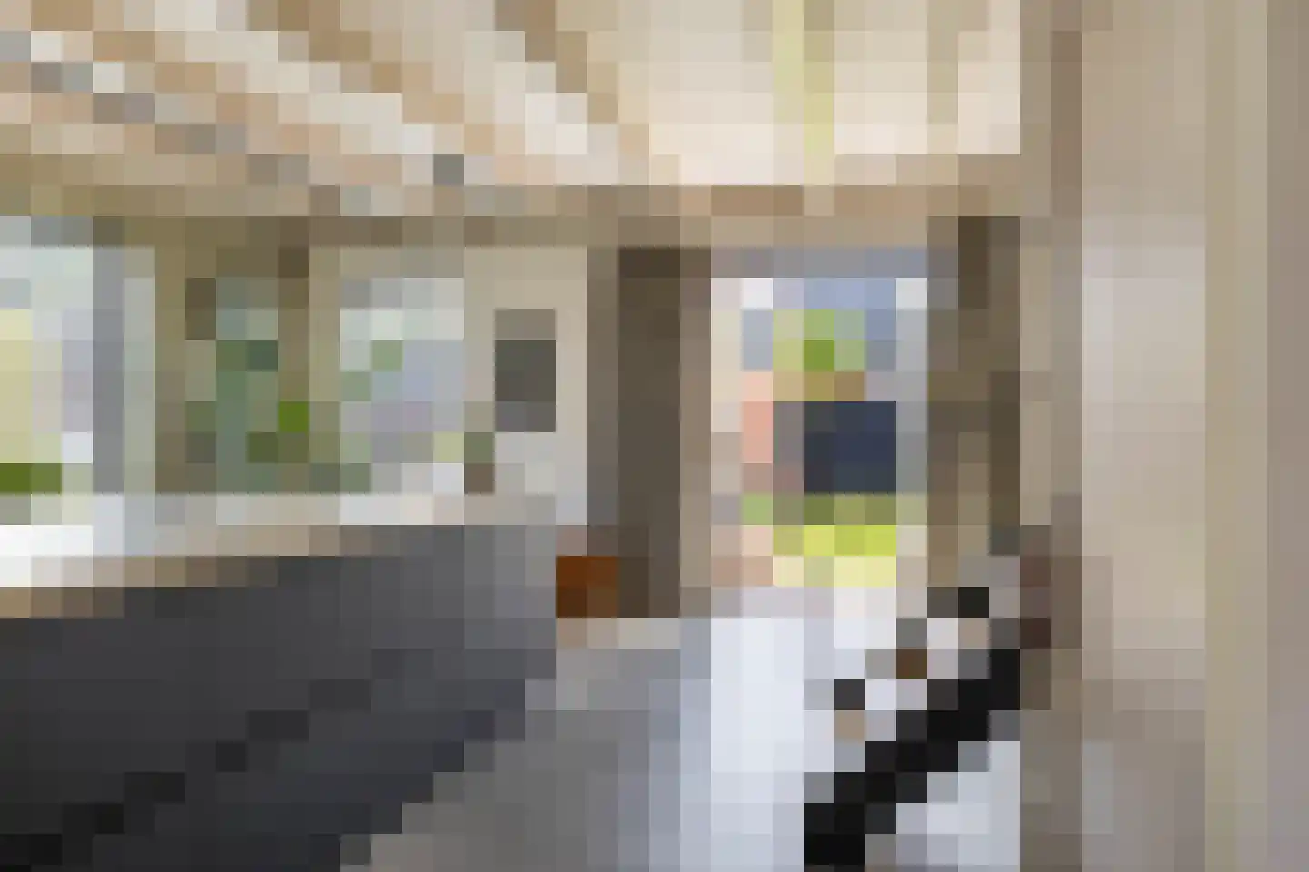 Jonkerslaan 79 Grijpskerk thumbnail 6