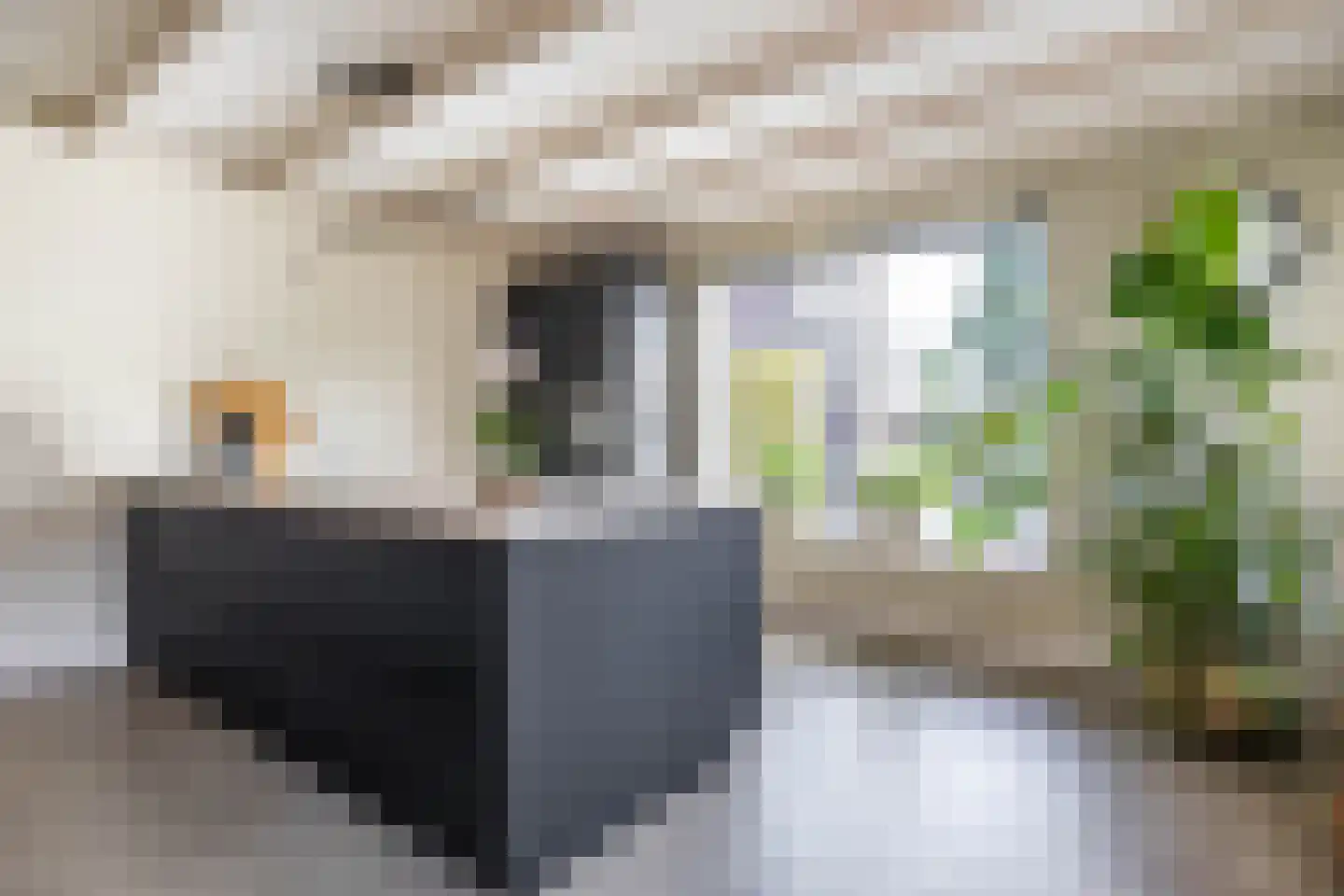 Jonkerslaan 79 Grijpskerk thumbnail 9