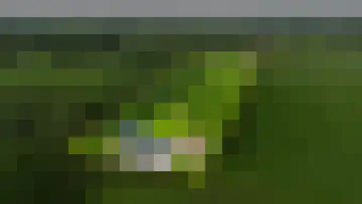 Jonkerslandreed 5 Oudehorne thumbnail 10