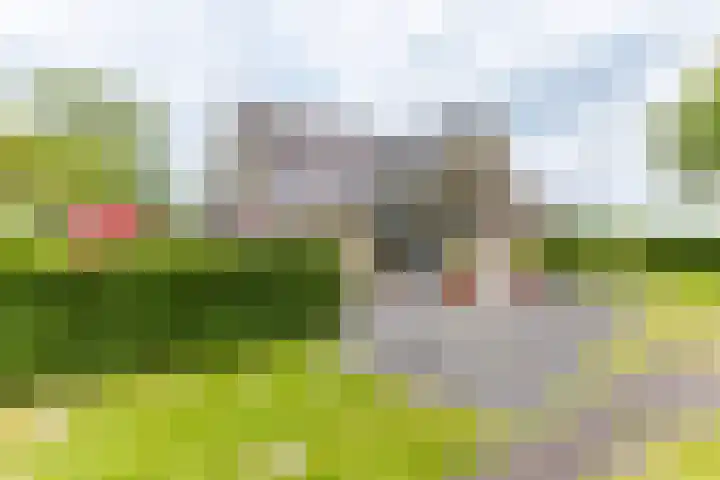 Jonkerslandreed 5 Oudehorne thumbnail 12
