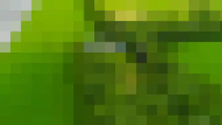 Jonkerslandreed 5 Oudehorne thumbnail 14