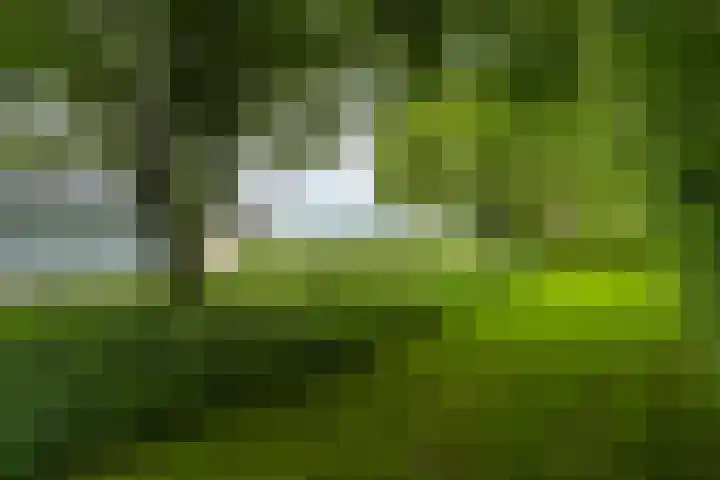 Jonkerslandreed 5 Oudehorne thumbnail 19