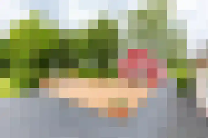 Jonkerslandreed 5 Oudehorne thumbnail 22