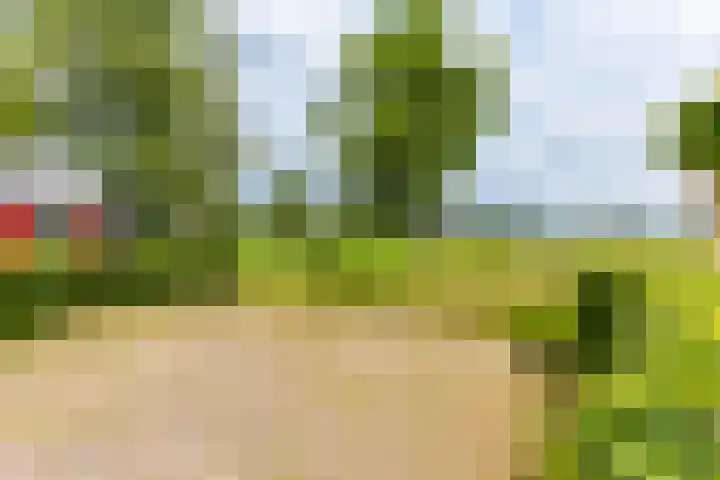 Jonkerslandreed 5 Oudehorne thumbnail 23