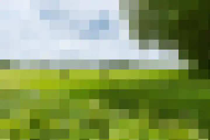 Jonkerslandreed 5 Oudehorne thumbnail 35