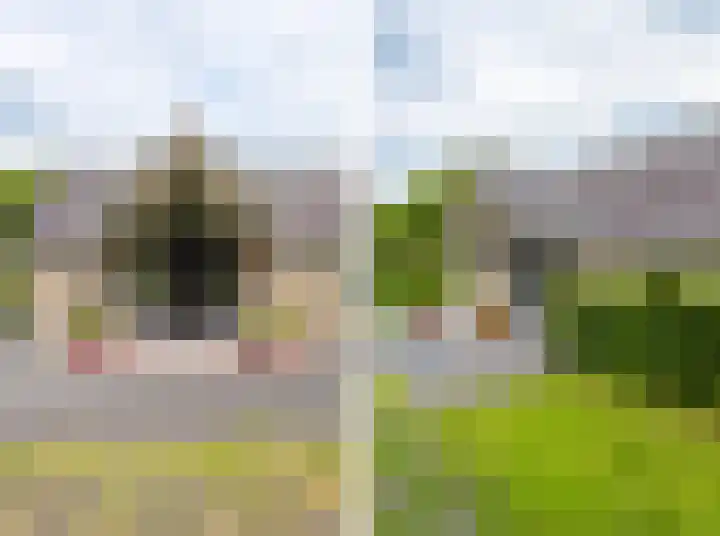 Jonkerslandreed 5 Oudehorne thumbnail 38
