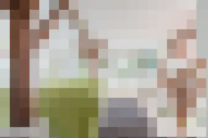 Jonkerslandreed 5 Oudehorne thumbnail 51