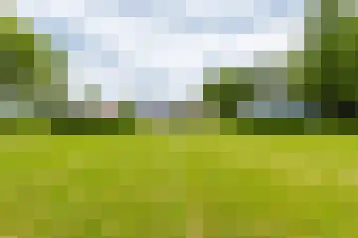 Jonkerslandreed 5 Oudehorne thumbnail 8