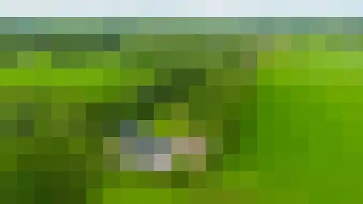 Jonkerslandreed 5 Oudehorne thumbnail 9