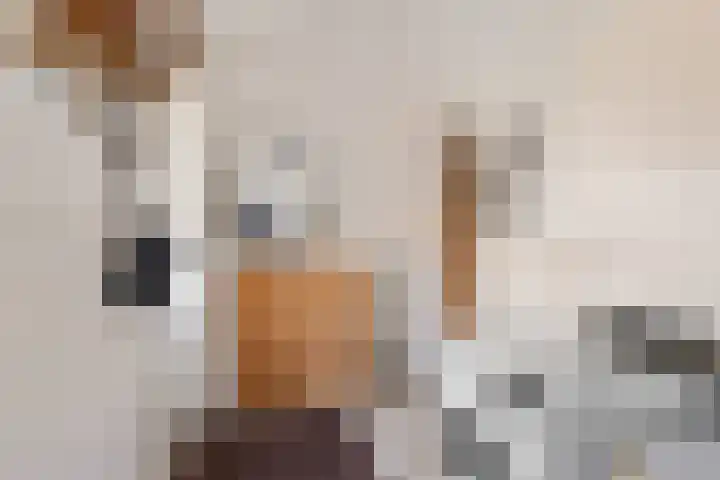 Jonkerspaed 12 Aldtsjerk thumbnail 12