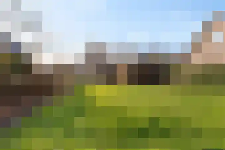 Jonkerspaed 12 Aldtsjerk thumbnail 31