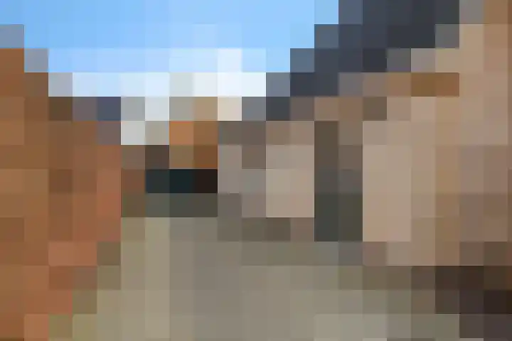 Jonkerspaed 12 Aldtsjerk thumbnail 34