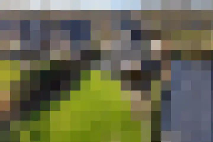 Jonkerspaed 12 Aldtsjerk thumbnail 39