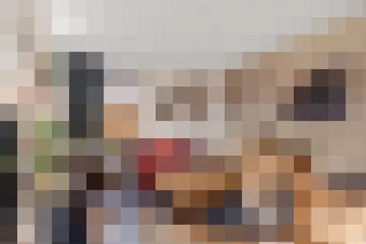 Jonkerspaed 12 Aldtsjerk thumbnail 4
