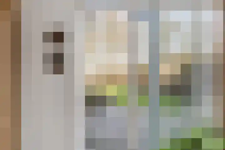 Jonkerspaed 12 Aldtsjerk thumbnail 7