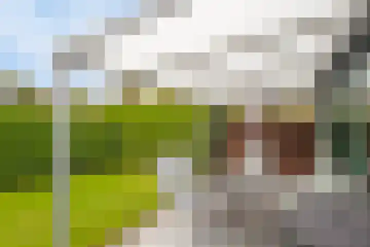 Jonkerstee 220 Ouddorp thumbnail 5