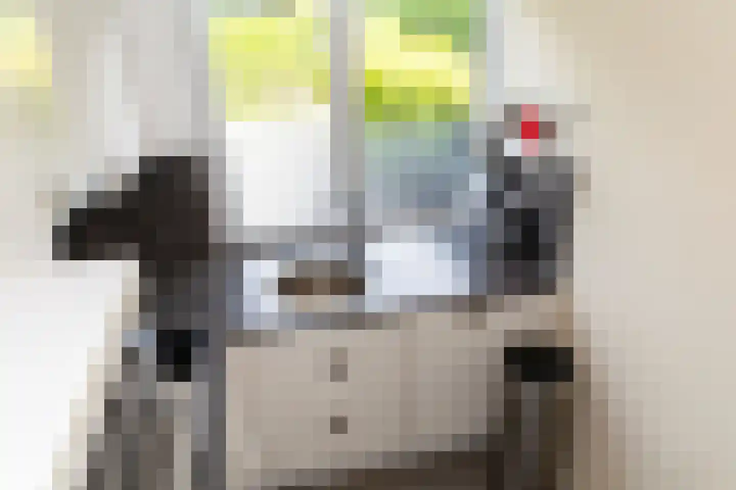 Jonkerstee 227 Ouddorp thumbnail 18