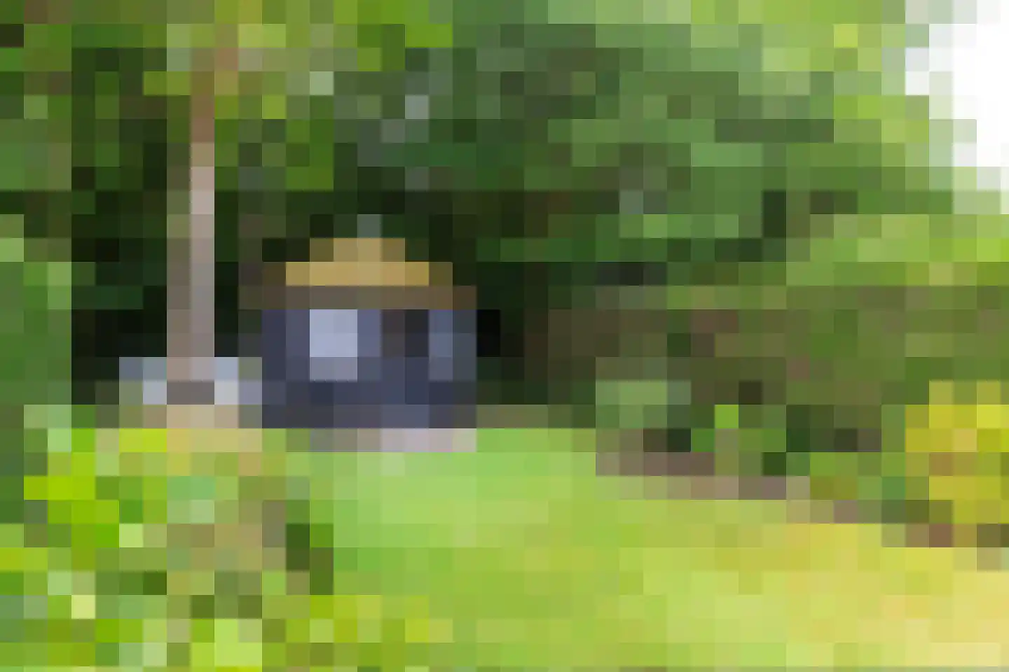 Jonkerstee 227 Ouddorp thumbnail 31