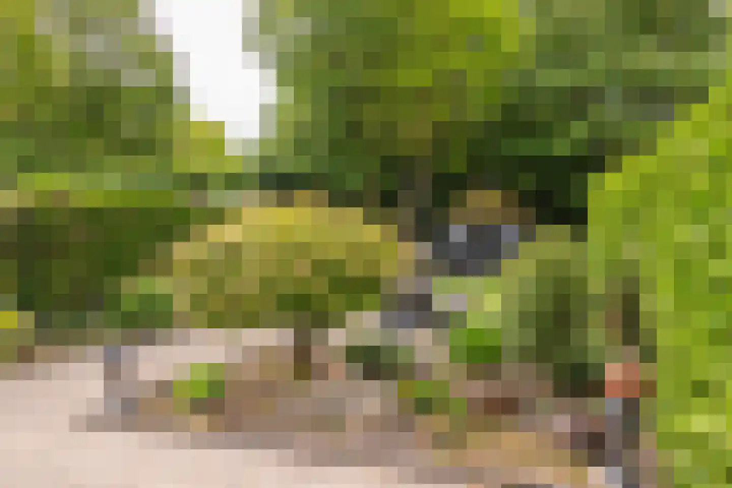Jonkerstee 227 Ouddorp thumbnail 34