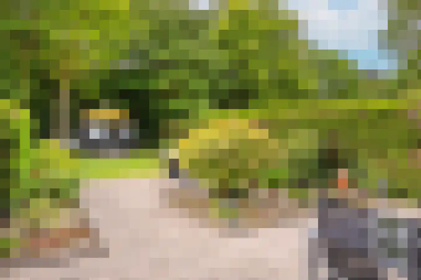 Jonkerstee 227 Ouddorp thumbnail 5